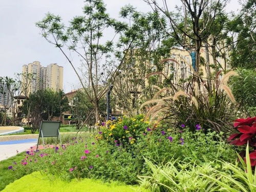 建设公园城市 立体绿化与口袋公园为城市园林添彩