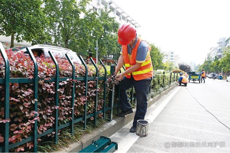 城市道路绿化带隔离围栏市政园林设计方案